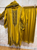 Ready To Wear Viral Pakistani Suit With Beautiful Embroidery Thread And Cut Work